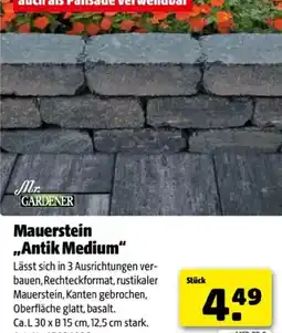 Hagebau Mr. GARDENER Mauerstein Antik Medium Angebot