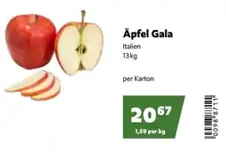 Eurogast Grissemann Äpfel Gala Angebot