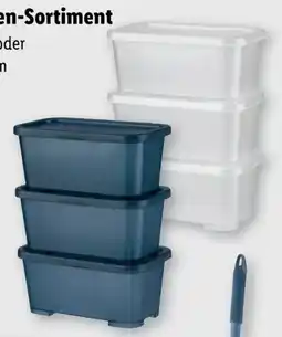Lidl W5 Aufbewahrungsboxen-Sortiment Angebot