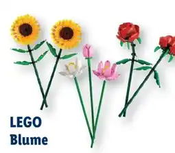 Lidl Lego Blumen Angebot