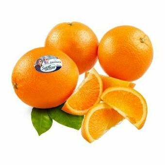 Billa Orangen Angebot