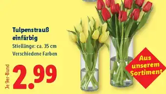 Lidl Tulpenstrauß einfärbig Angebot