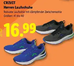 Lidl CRIVIT Herren Laufschuhe Angebot