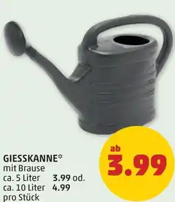 PENNY Giesskanne Angebot