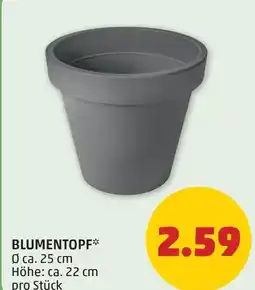 PENNY Blumentopf Angebot