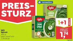 ADEG Iglo Spinat Angebot
