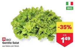 MPreis BIO Gentile Salat Angebot