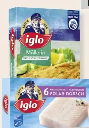 MPreis Iglo Polardorsch Angebot