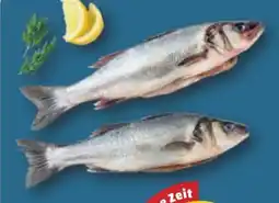 PENNY Wolfsbarsch Angebot