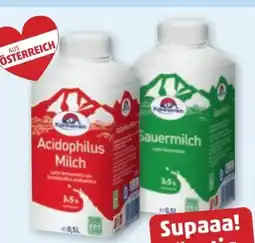PENNY Kärntnermilch Acidophilus Milch Angebot
