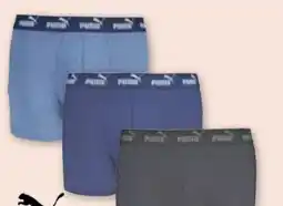 PENNY Puma Herren Retroshort Angebot