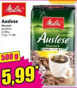 Norma Melitta Auslese Angebot