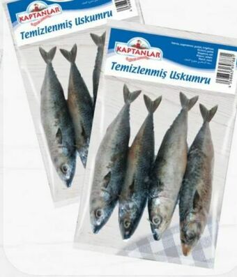 ETSAN Makrele Angebot