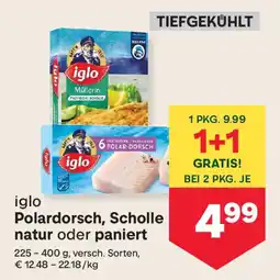 MPreis Iglo polardorsch, scholle natur oder paniert Angebot
