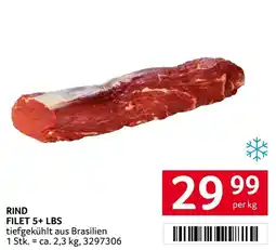 Transgourmet Rind filet 5+ lbs Angebot