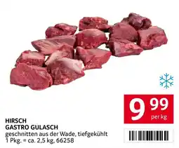 Transgourmet Hirsch gastro gulasch Angebot