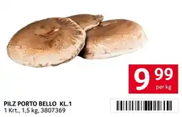 Transgourmet Pilz porto bello kl.1 Angebot