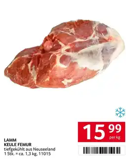 Transgourmet Lamm keule femur Angebot