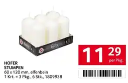 Transgourmet Hofer stumpen Angebot