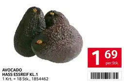 Transgourmet Avocado hass essreif kl.1 Angebot