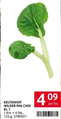 Transgourmet Keltenhof wilder pak choi kl.1 Angebot