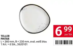 Transgourmet Teller pintar Angebot