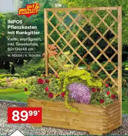 Lagerhaus IMPOS Pflanzkasten mit Rankgitter Angebot