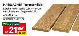Lagerhaus HASSLACHER Terrassendiele Angebot