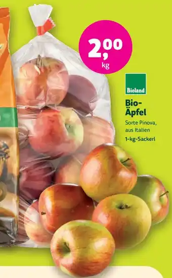 Denn's Biomarkt Bio- Äpfel Angebot