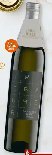 Billa Billa Genusswelt Triebaumer Sauvignon Blanc Alte Reben Angebot