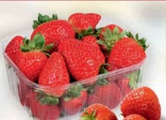 Billa Erdbeeren Angebot