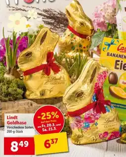 Interspar Lindt Goldhase Angebot