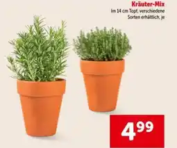 Interspar Kräuter mix Angebot