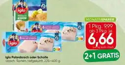 Spar Iglo polardorsch oder scholle Angebot