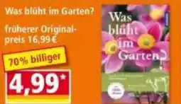 Norma Was blüht im Garten Angebot