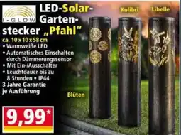 Norma Led solar garten stecker pfahl Angebot