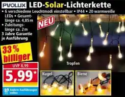 Norma PVOLUX LED Solar Lichterkette Angebot