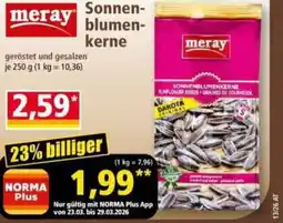Norma Sonnen blumen kerne Angebot