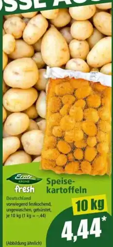 Norma Speise kartoffeln Angebot