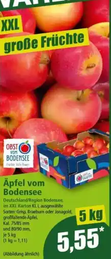 Norma Äpfel vom bodensee Angebot
