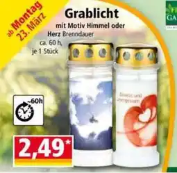 Norma Grablicht Angebot