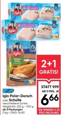 Maximarkt Iglo polar dorsch oder scholle Angebot