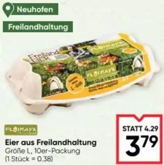Maximarkt Eier aus freilandhaltung Angebot