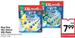Maximarkt Blue star wc-steine xxl pack Angebot