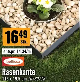 Hornbach Bellissa rasenkante Angebot