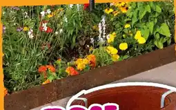 Hornbach konsta beeteinfassung Angebot