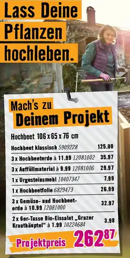 Hornbach Mach's zu deinem projekt hochbeet Angebot