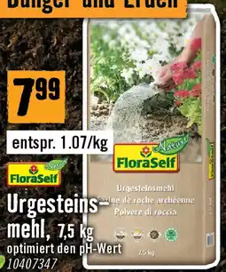 Hornbach Urgesteinsmehl Angebot