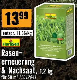 Hornbach Floraself rasen- erneuerung & nachsaat Angebot
