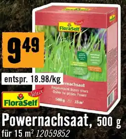 Hornbach Powernachsaat Angebot